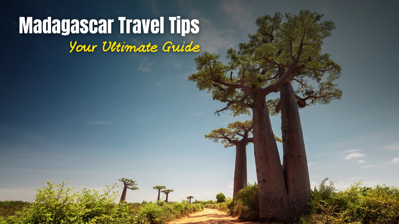 Madagascar Travel Tips: Your Ultimate Guide Video Thumbnail