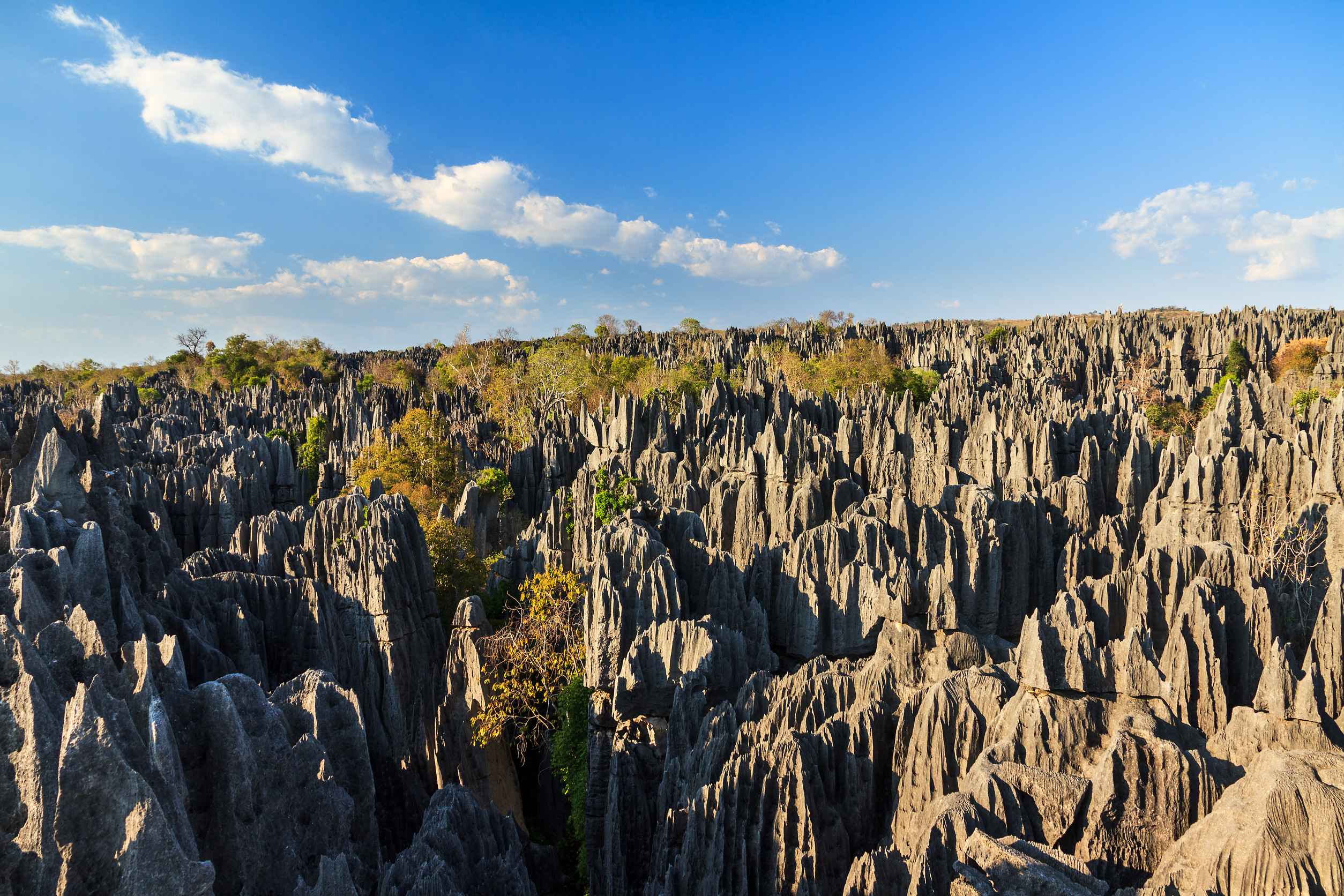 Stone Forest In Tsingy De Bemaraha National Park