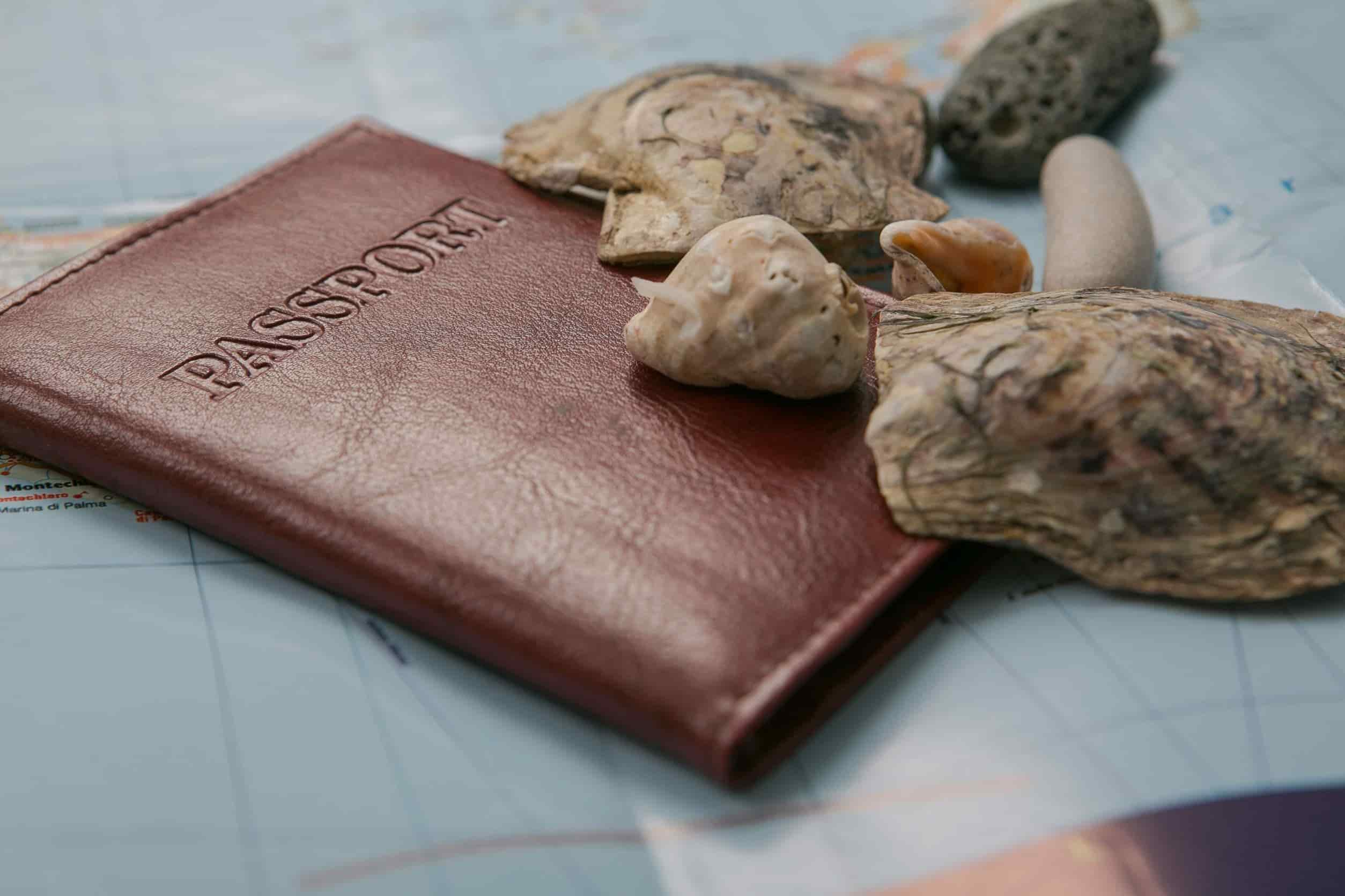 Travelling With Passport