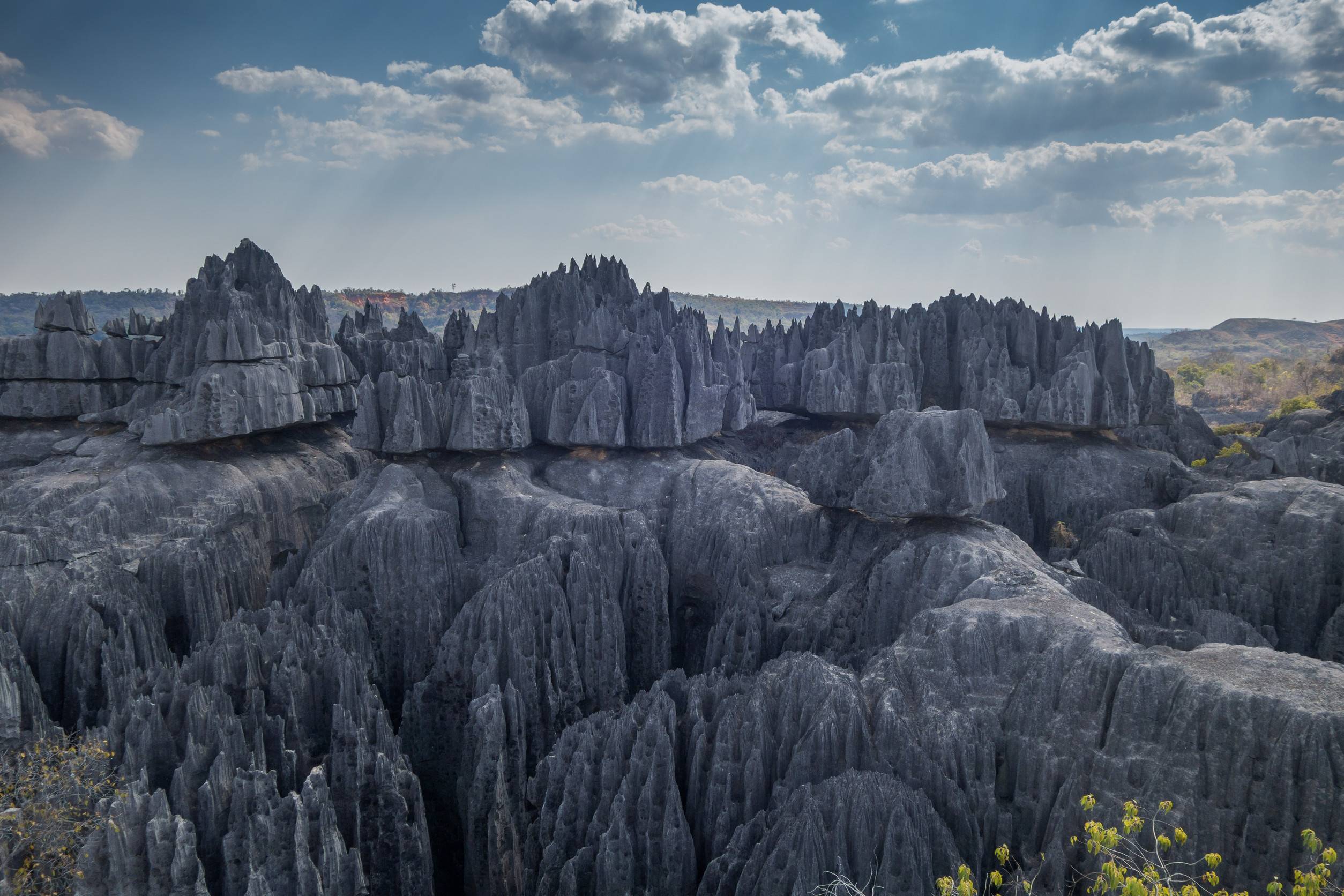 View of Madagascar's Bemaraha Tsingy Nature Reserve View of Madagascar's Bemaraha Tsingy Nature Reserve